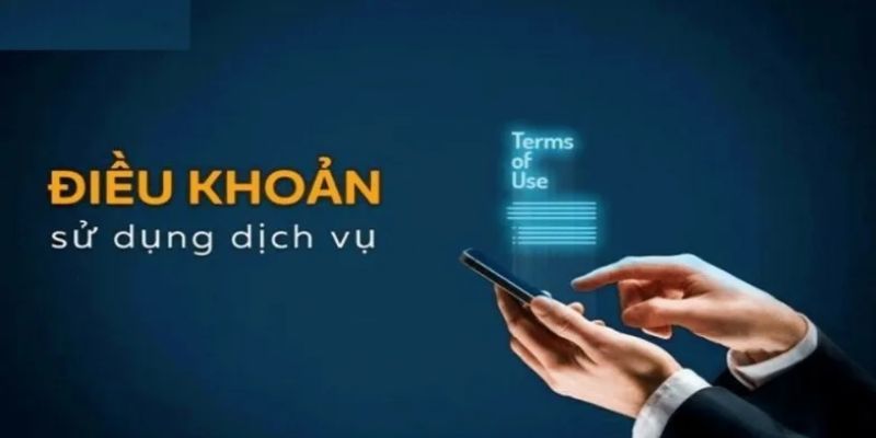 Chi tiết các điều khoản