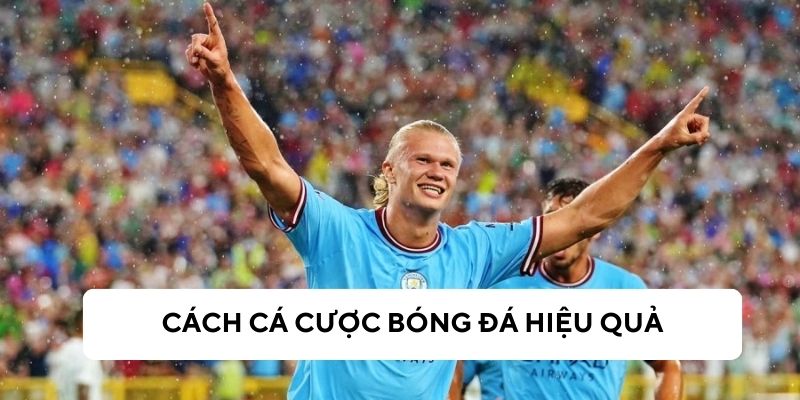 Các cách để cá cược bóng đá hiệu quả