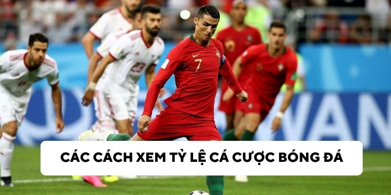 Các cách xem tỷ lệ cá cược bóng đá