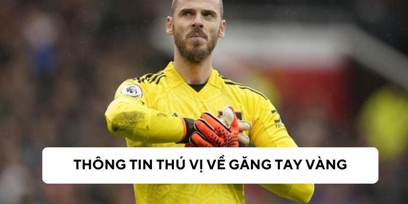 Tìm hiểu thông tin thú vị về giải thưởng