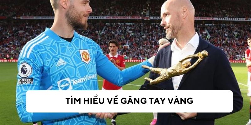 Tìm hiểu về giải thưởng găng tay vàng