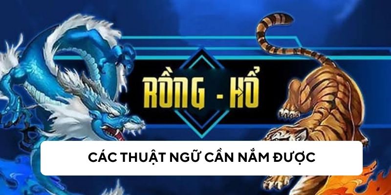 Các thuật ngữ trong game rồng hổ